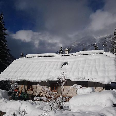 Wild Flower Cottage In Trenta Exterior foto